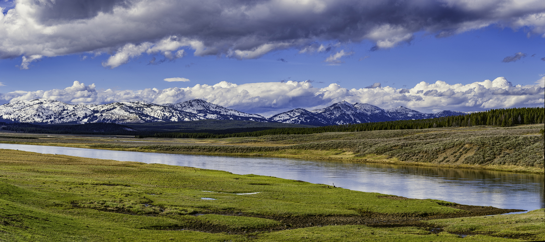 Absaroka Mountains View