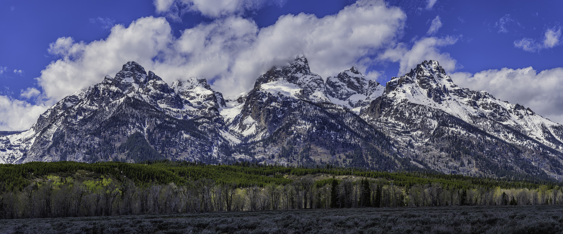 Afternoon at the Tetons