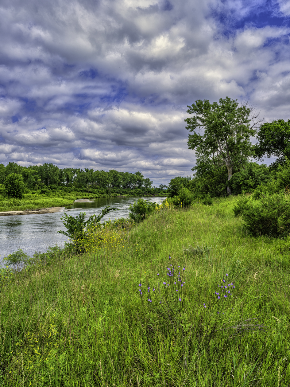 Afternoon on the Elkhorn II
