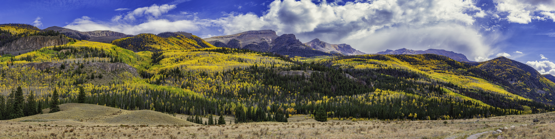 Along Alpine Loup Road