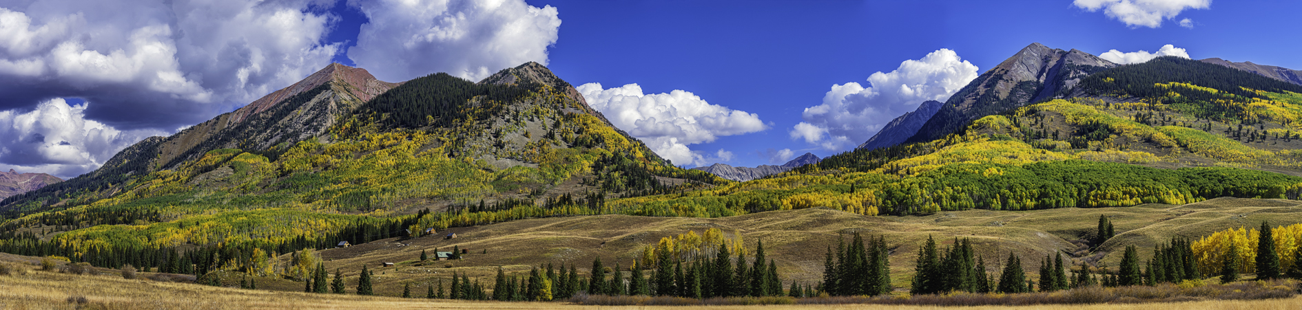 Along Ohio Creek Road III