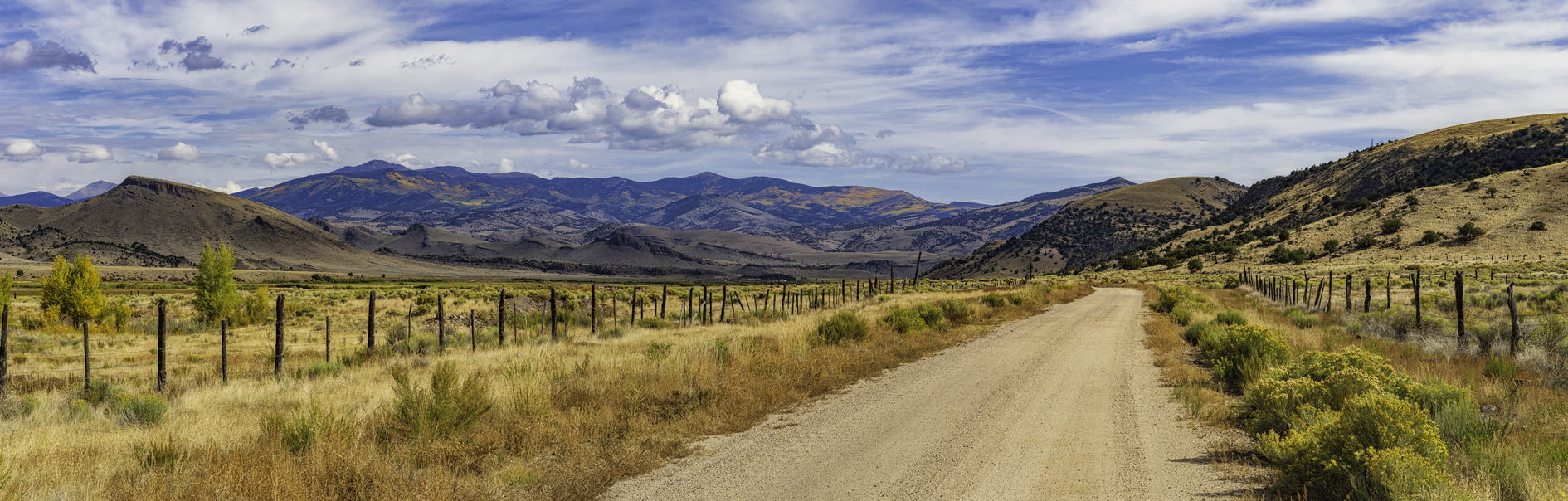 Along Sagauche Creek