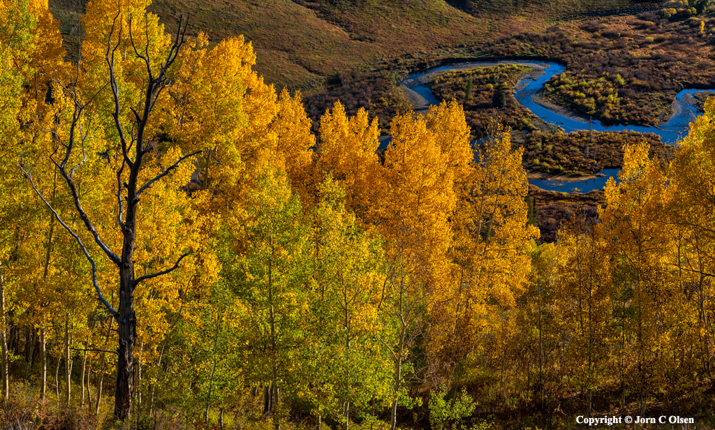 Autumn Along the East River