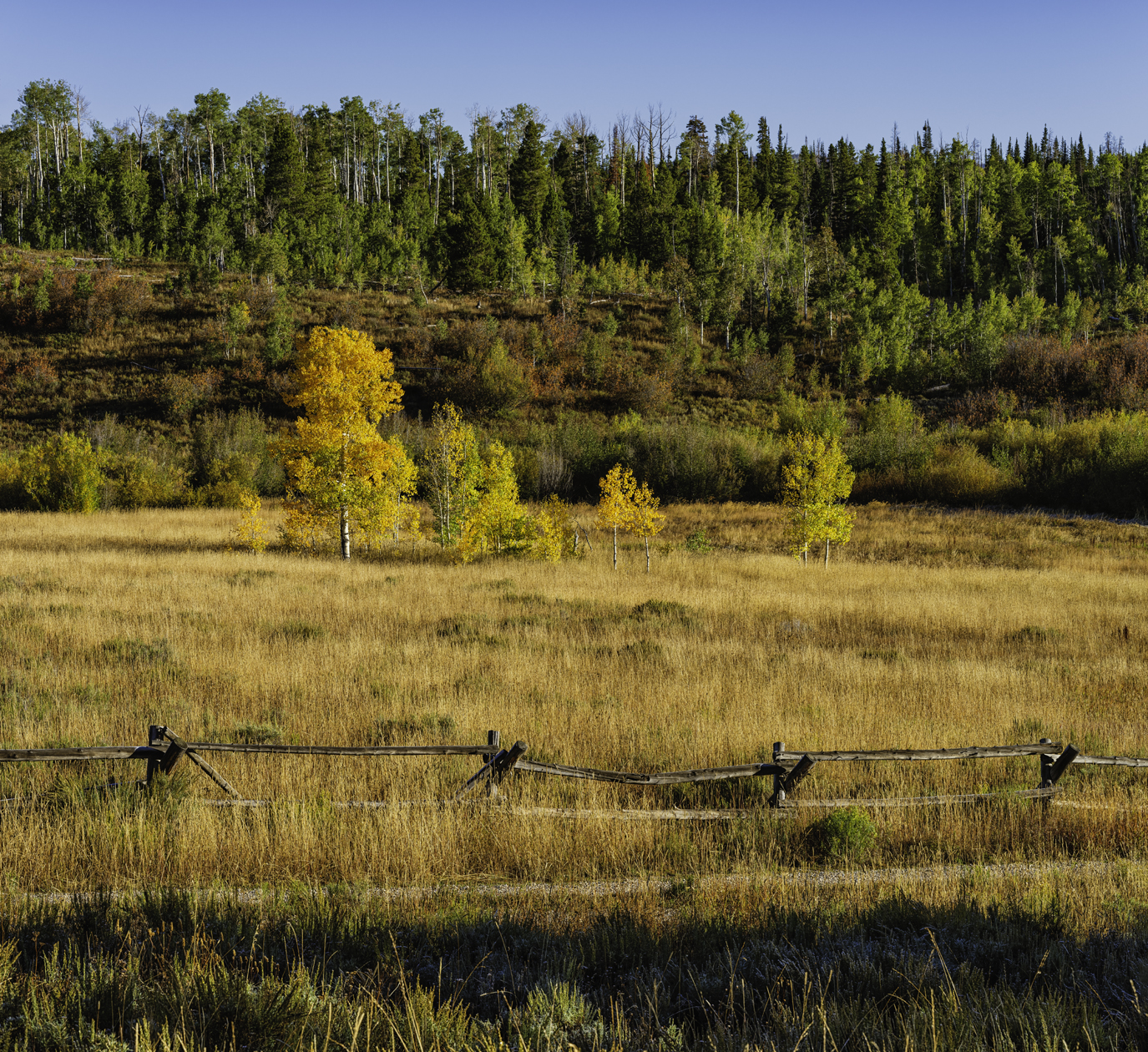 Autumn at Aspen Alley Ranch