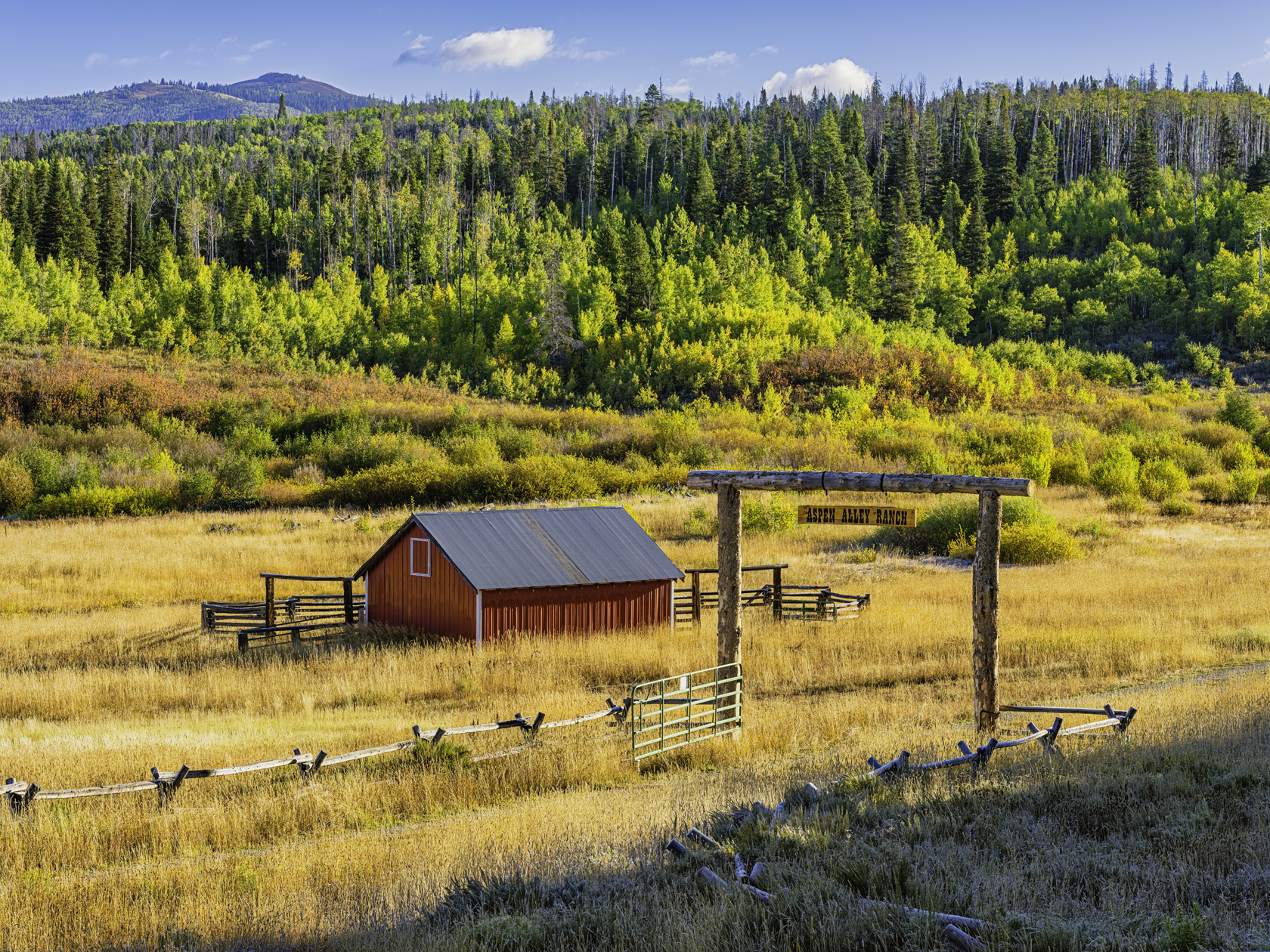 Autumn at Aspen Alley Ranch II