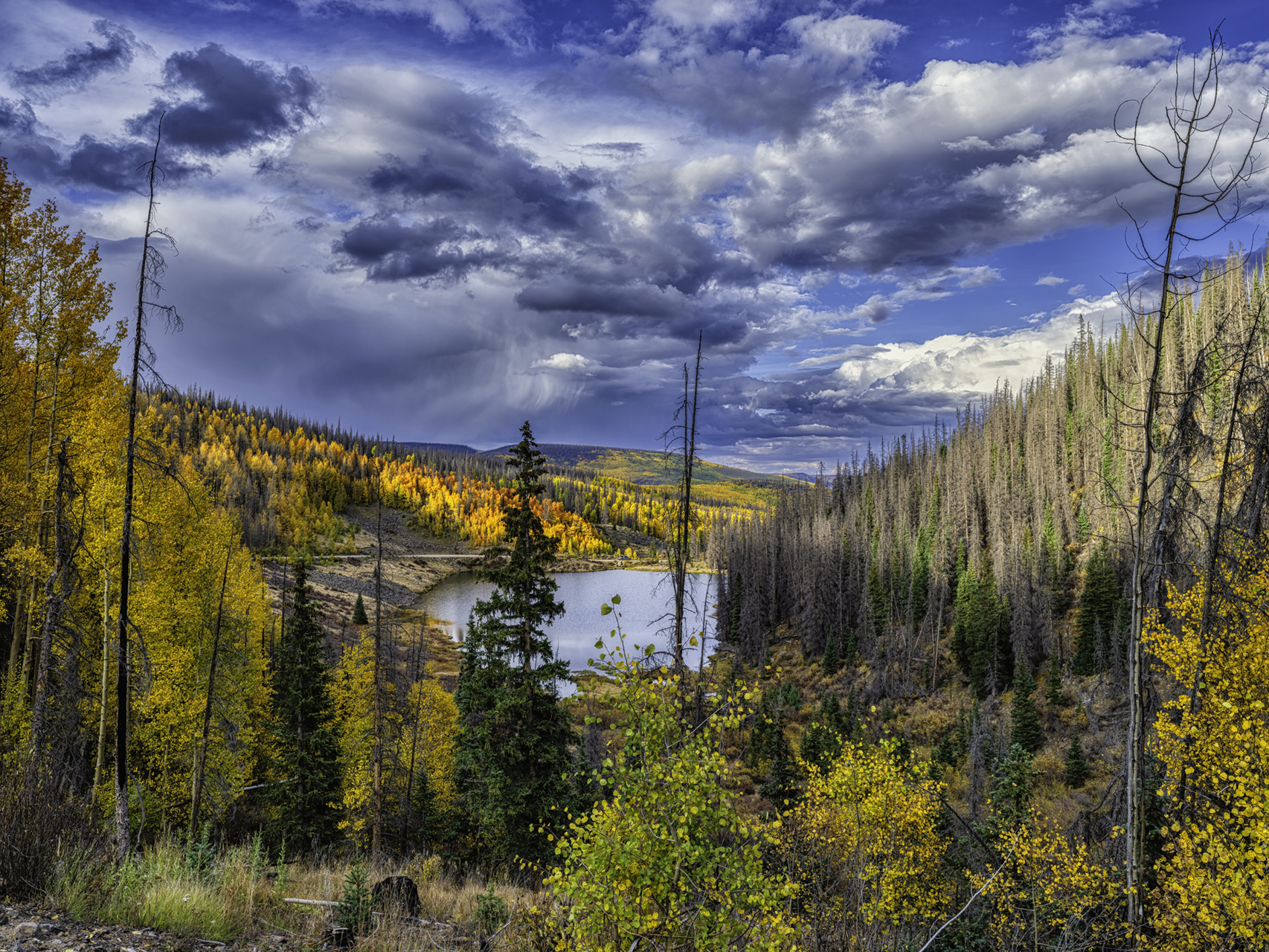 Autumn at Deer Lake III