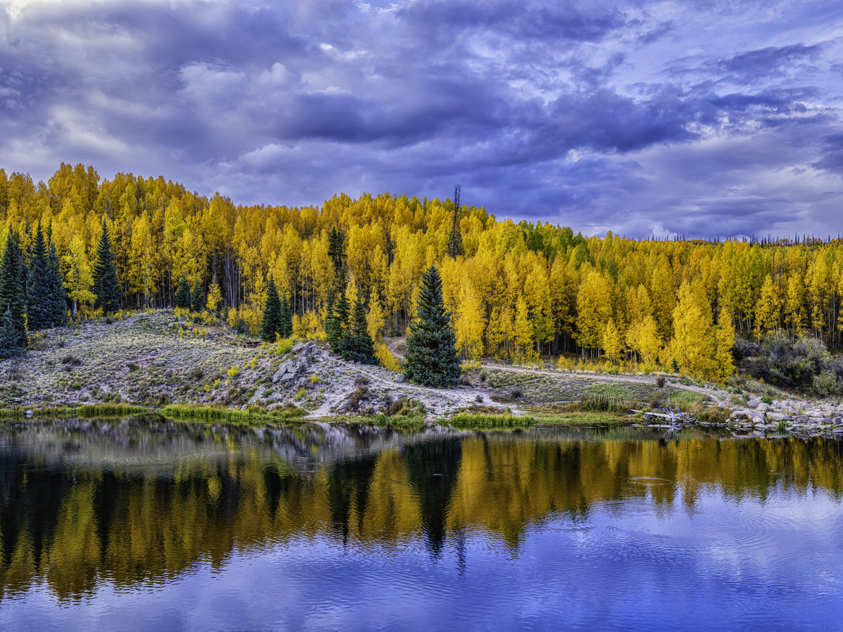 Autumn at Deer Lake IV