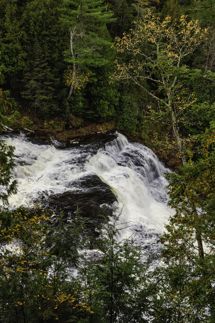 Autumn Falls