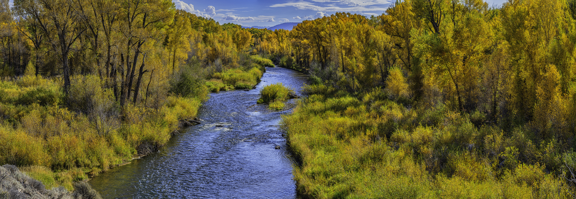 Autumn on the Gunnison II