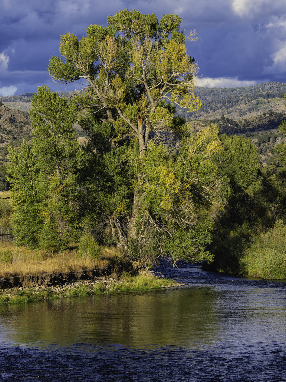 Autumn_on_the_North_Platte