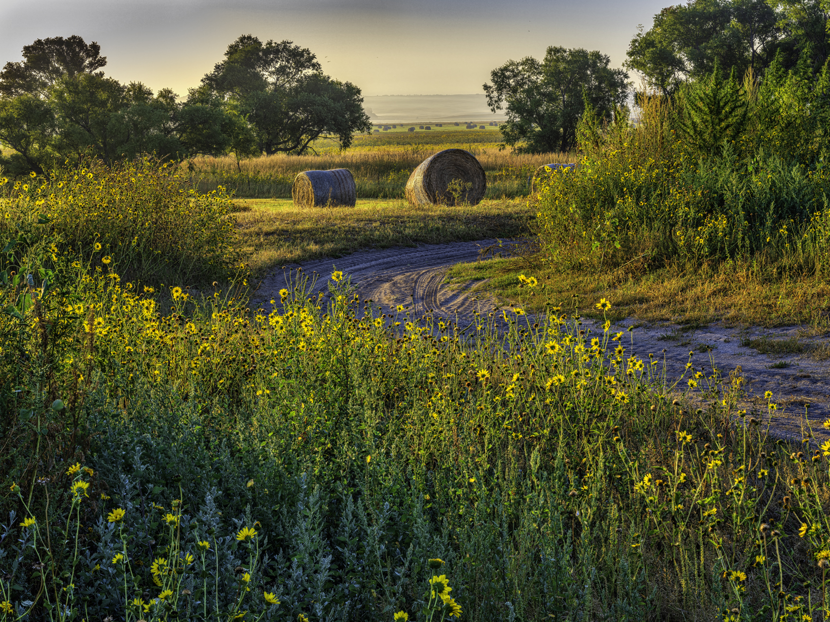 Bales Around the Bend II