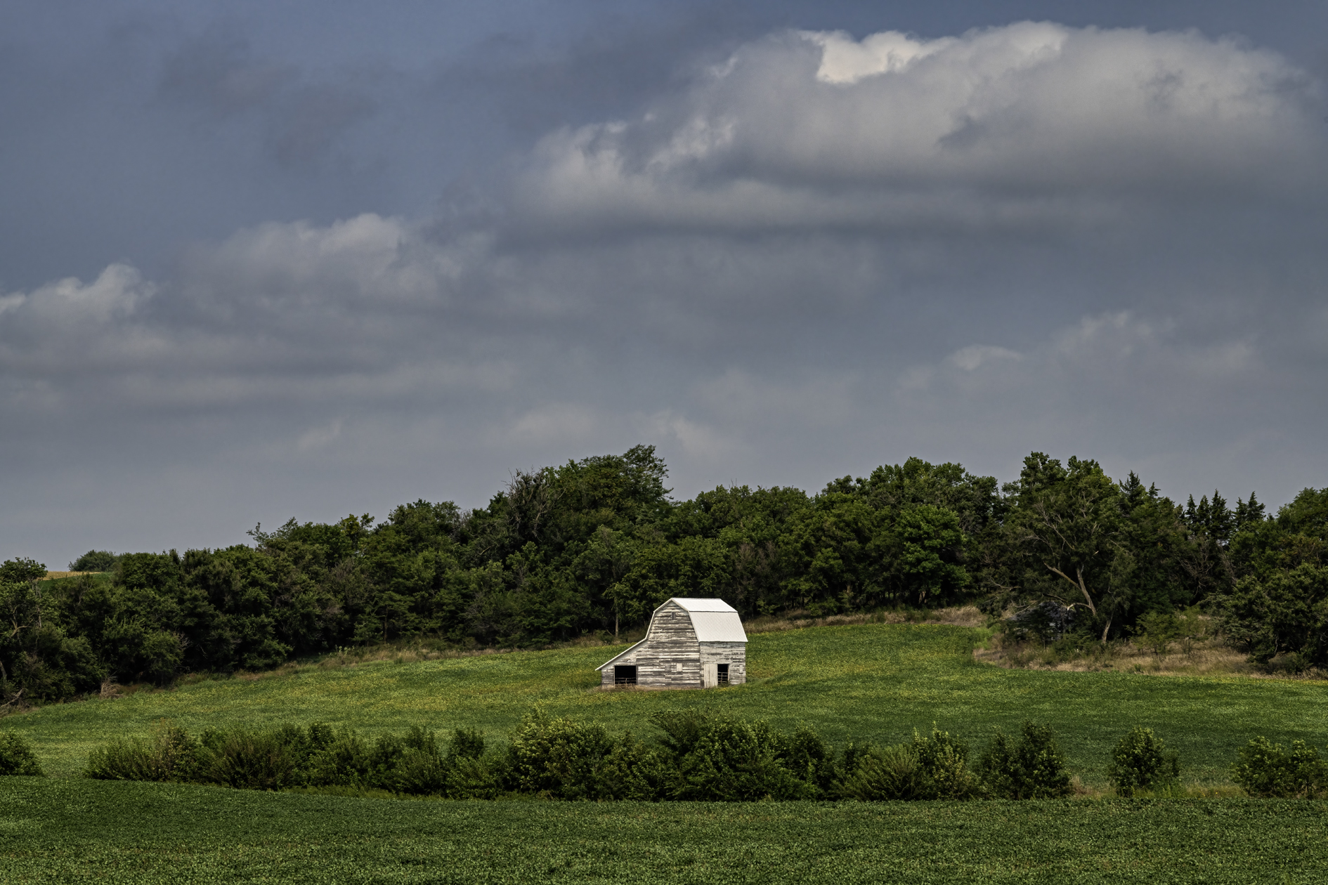 Barn in the Meadow