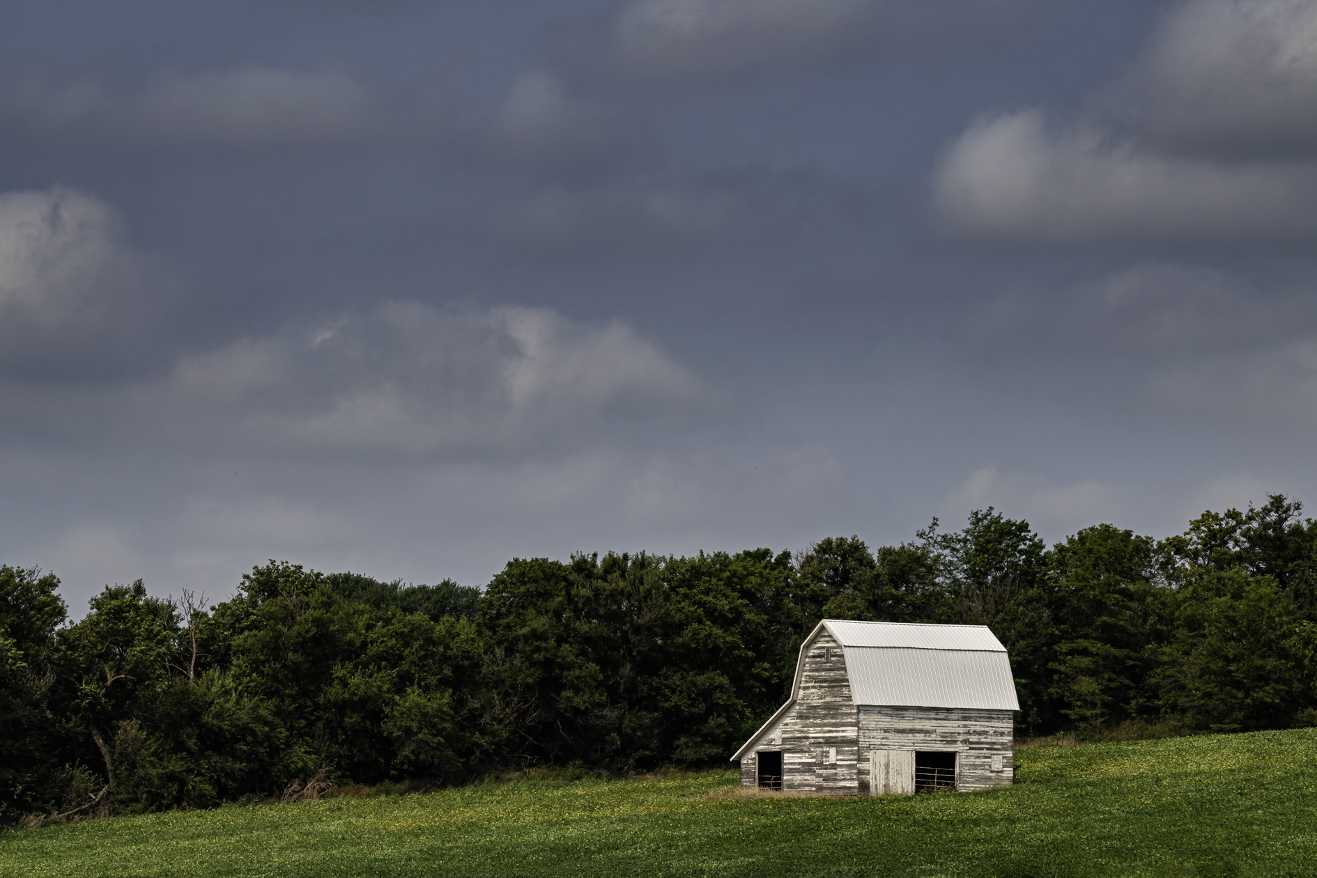 Barn in the Meadow II