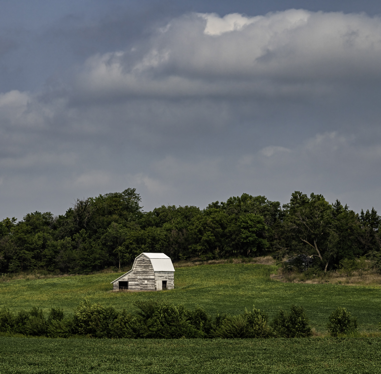 Barn in the Meadow IV