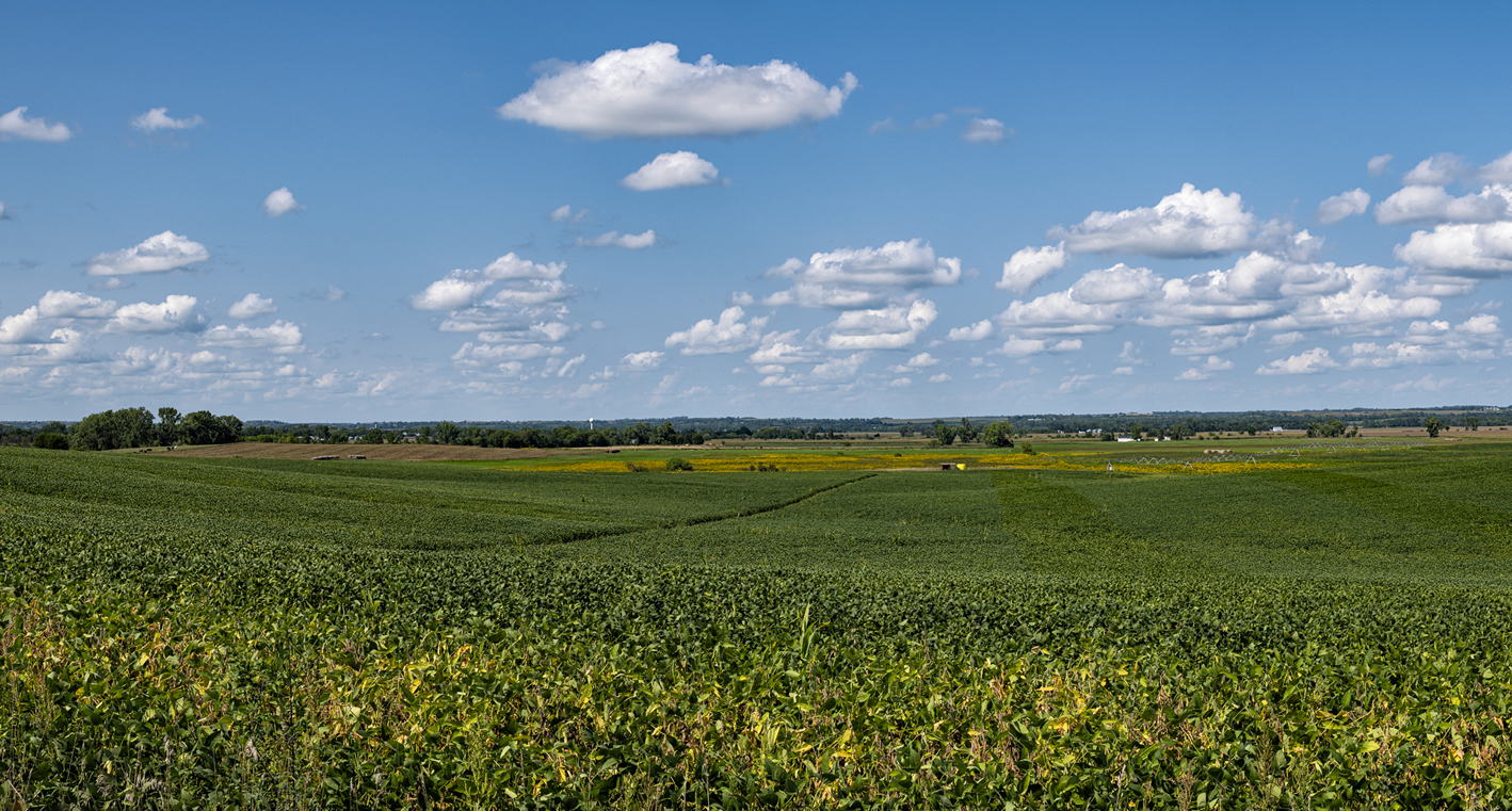 Battle Creek View