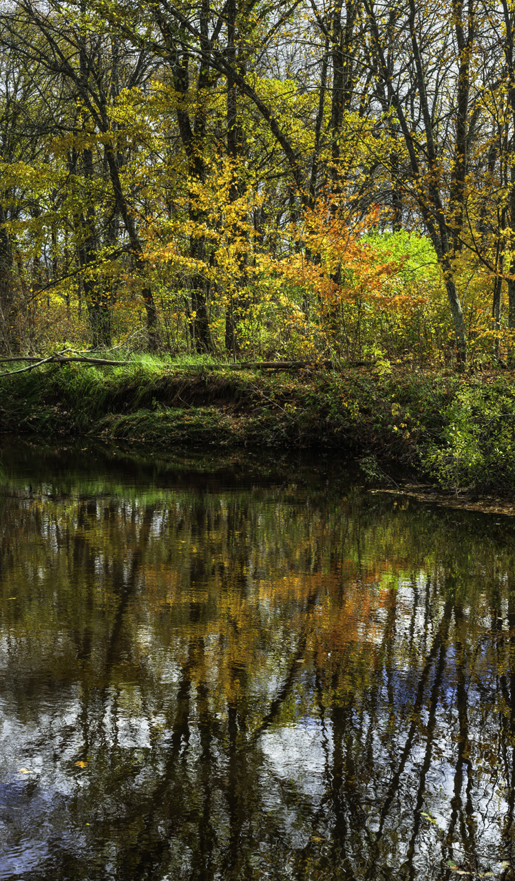 Bear Creek Reflections II