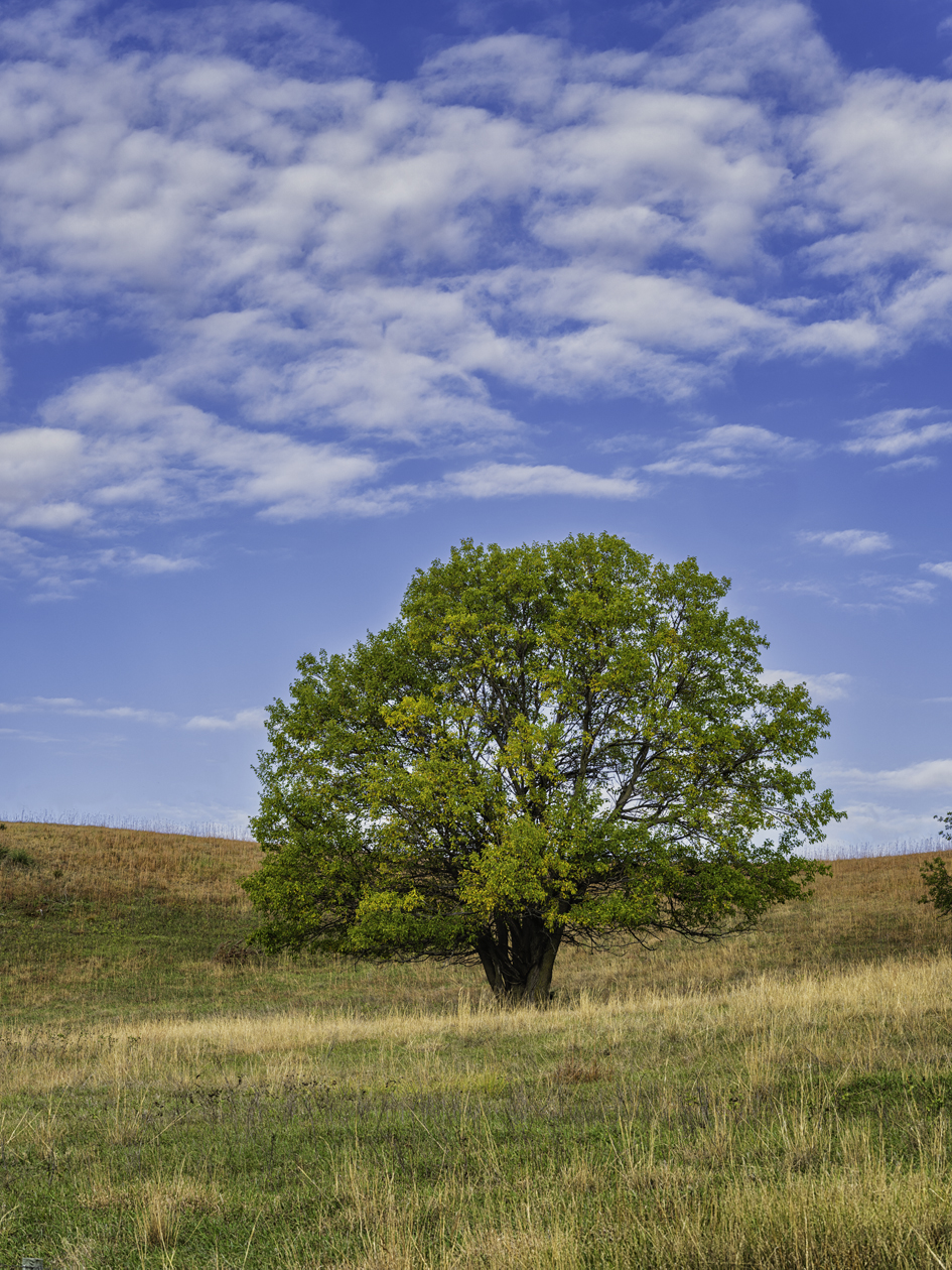 Bon Homme County Morning