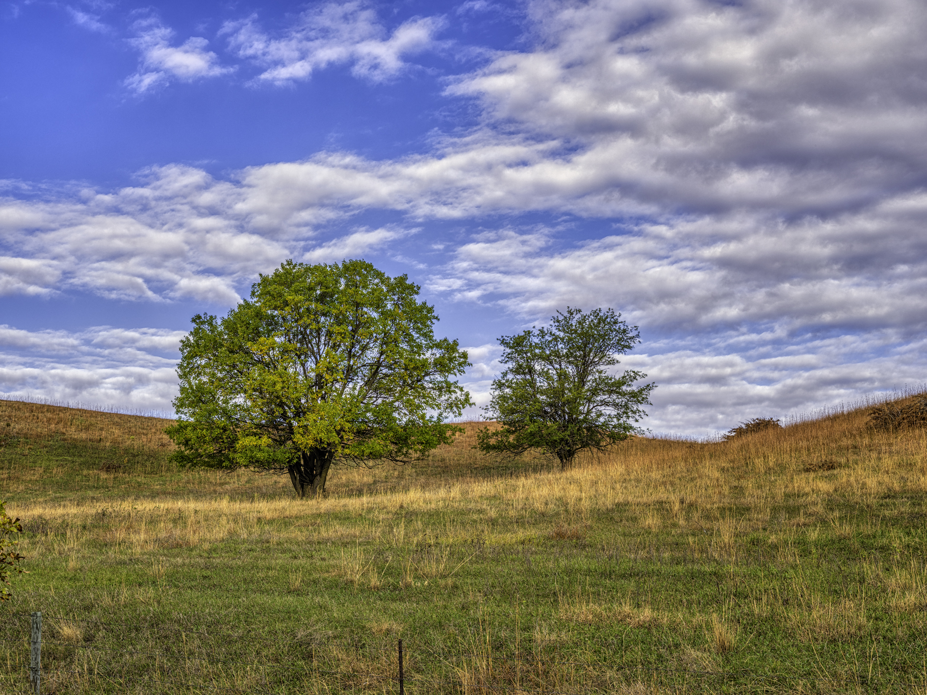 Bon Homme County Morning III