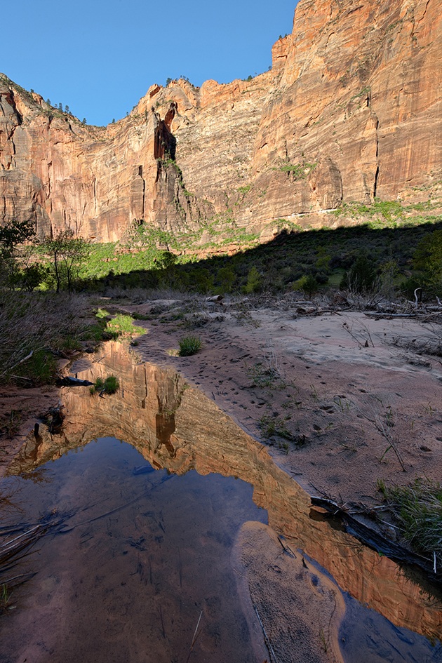 Canyon Reflections