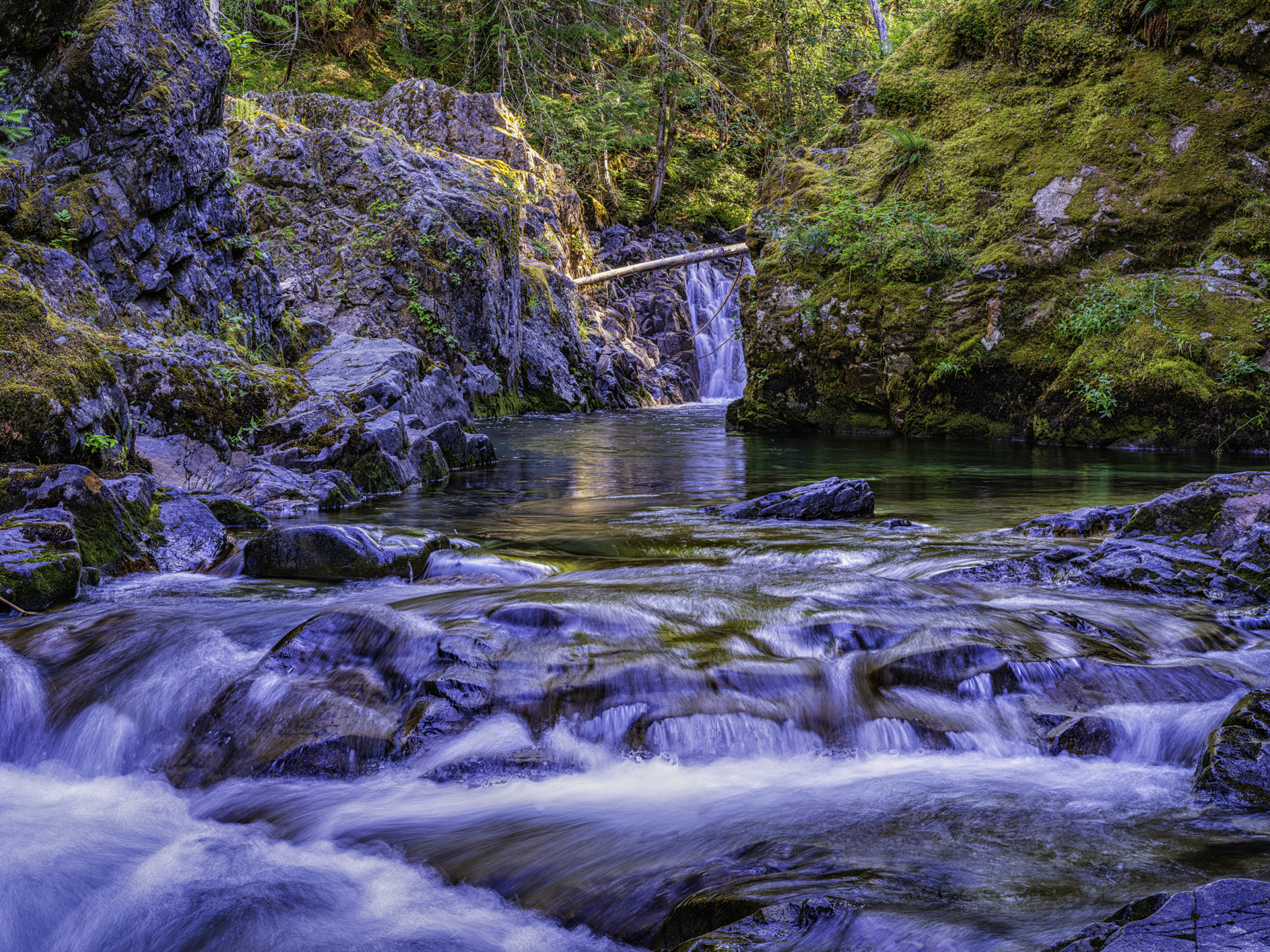 Chinook Creek Morning II