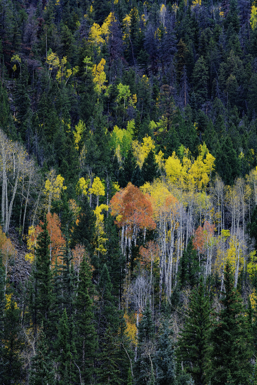 Colors of Colorado II