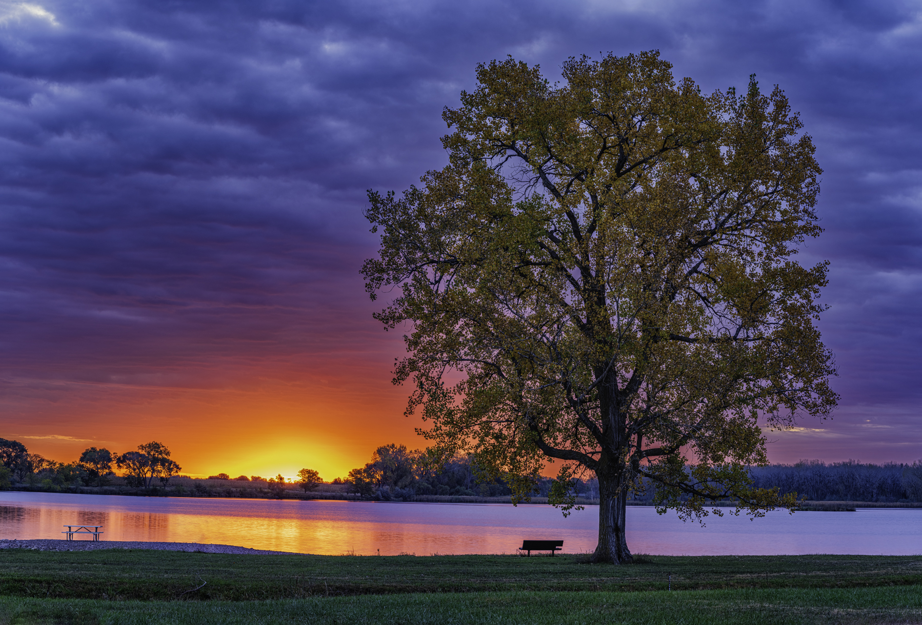 Cottonwood Sunrise II