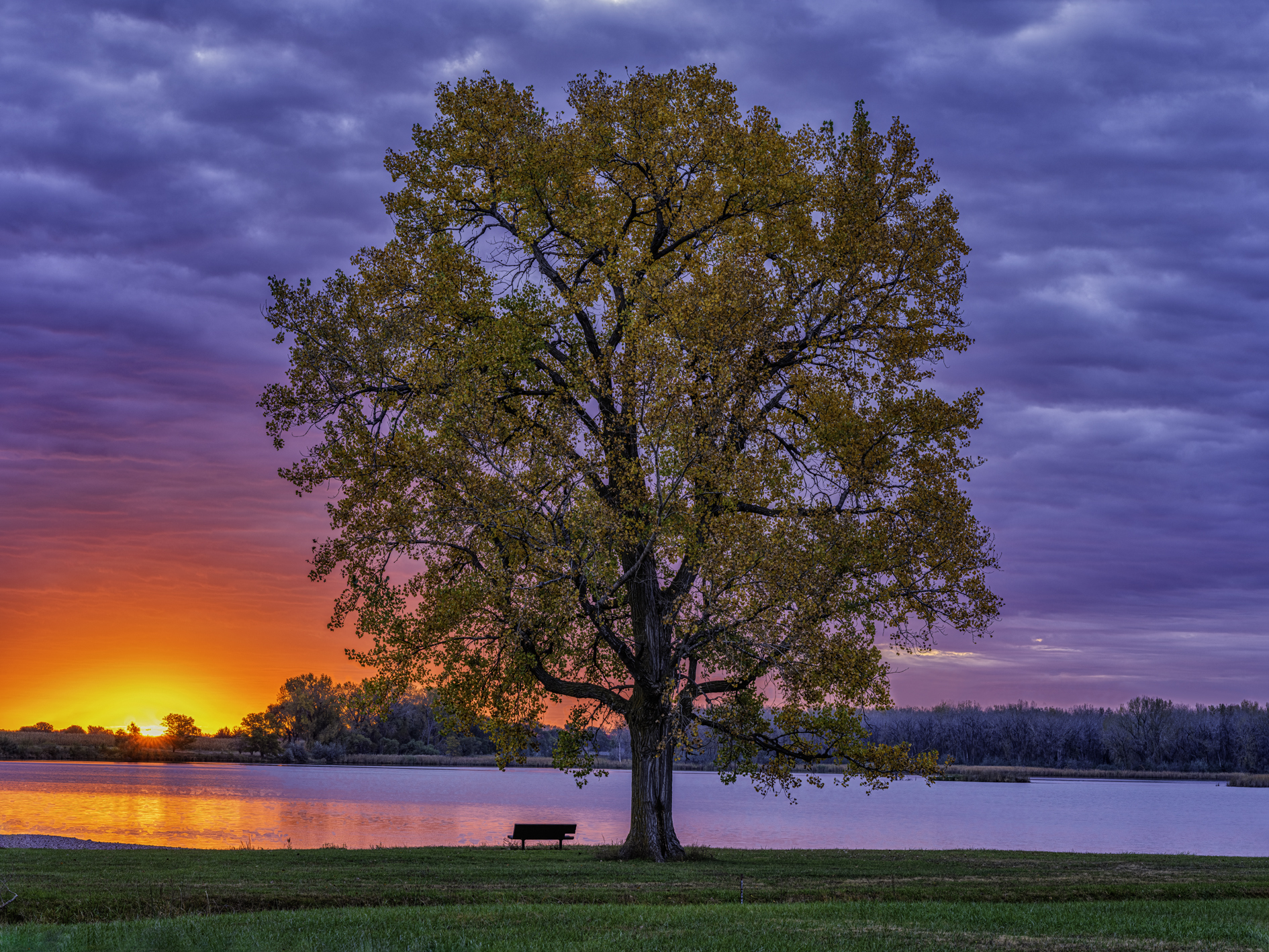 Cottonwood Sunrise III