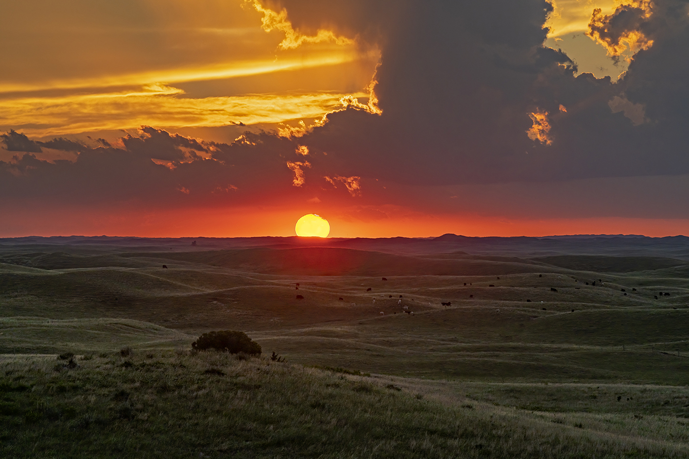 Custer County Sunset
