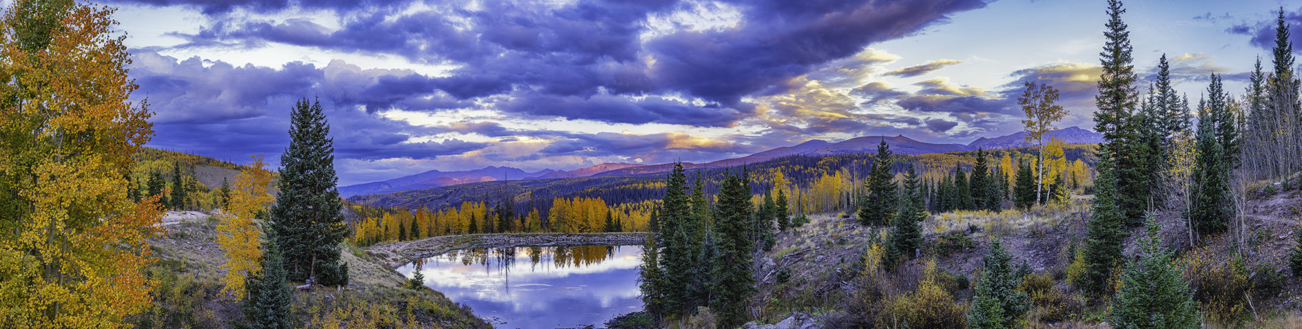 Deer Lake Evening