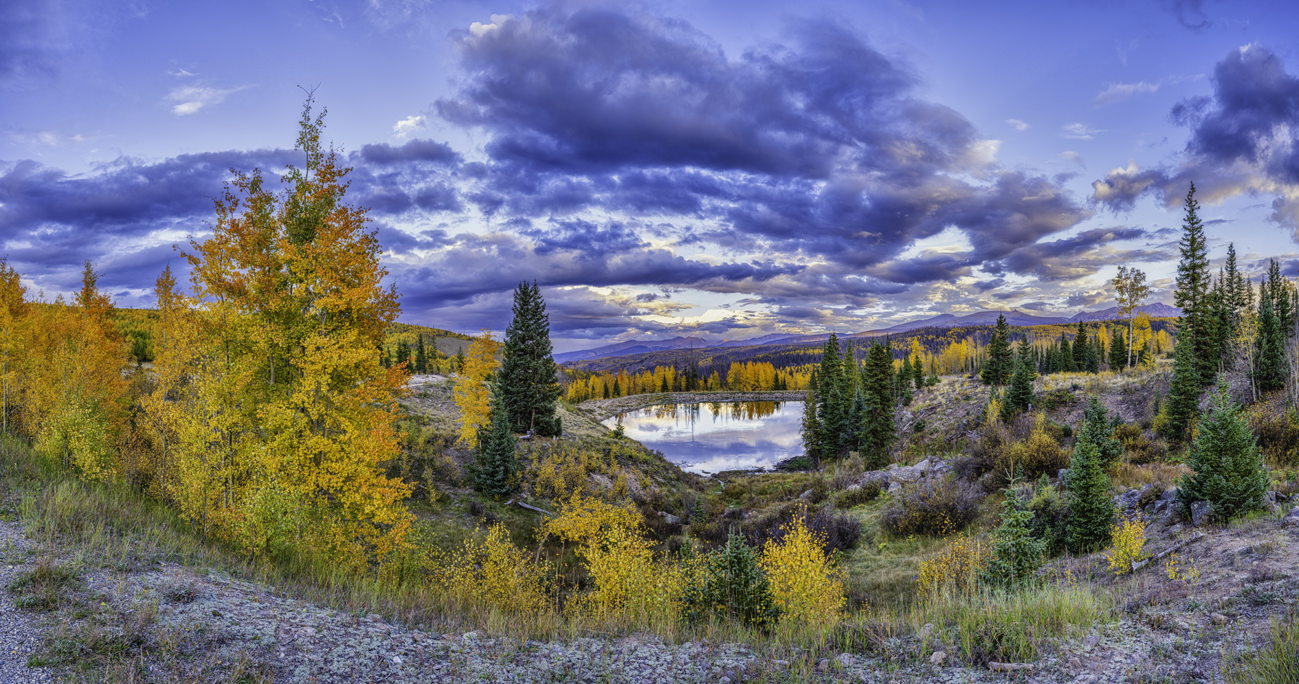 Deer Lake Evening III