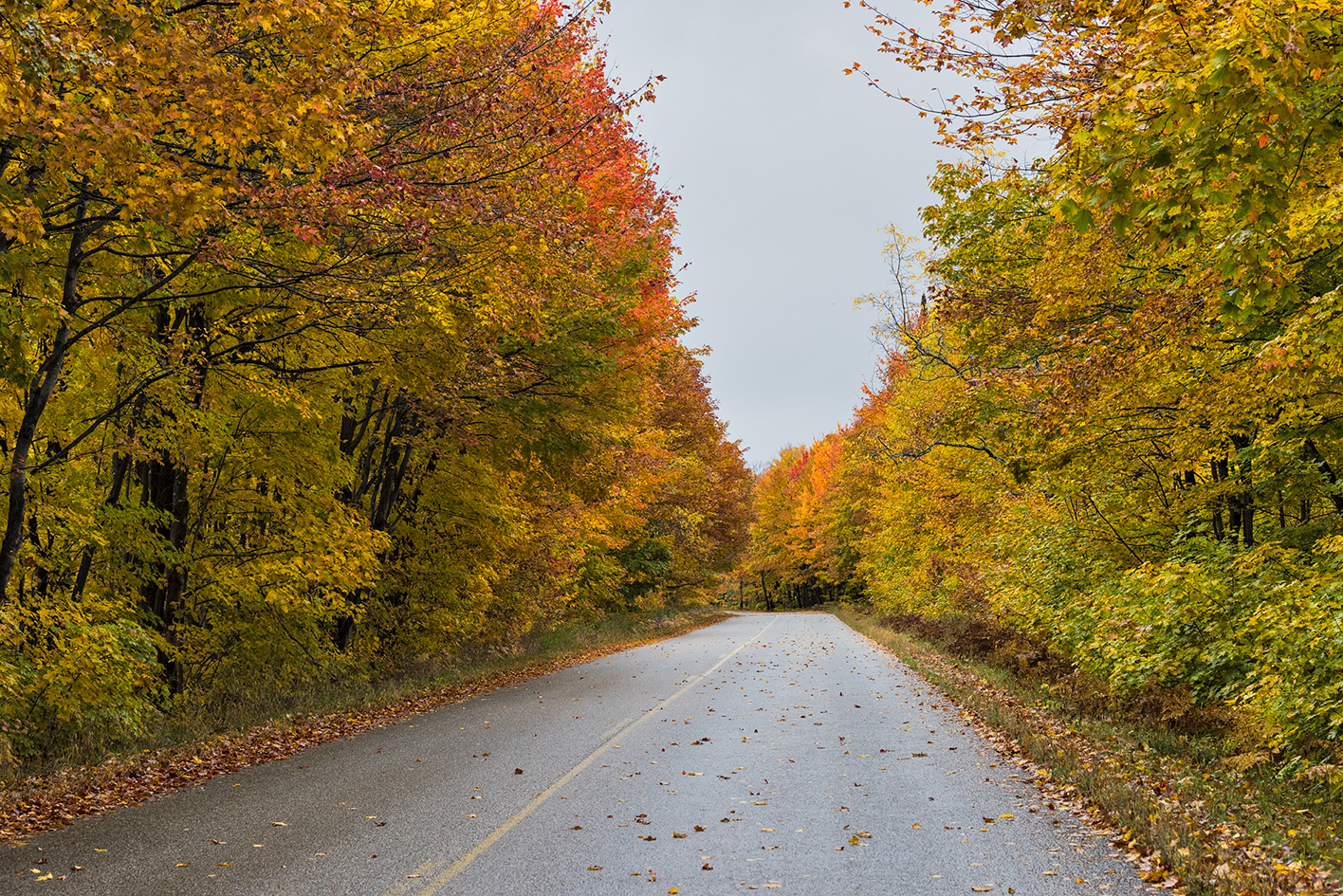 Down an Autumn Road