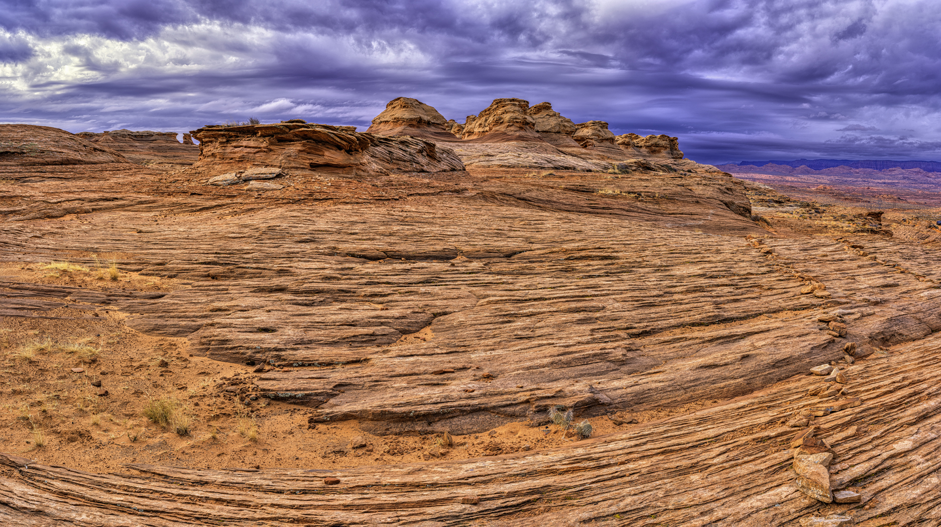 Evening at the Beehives