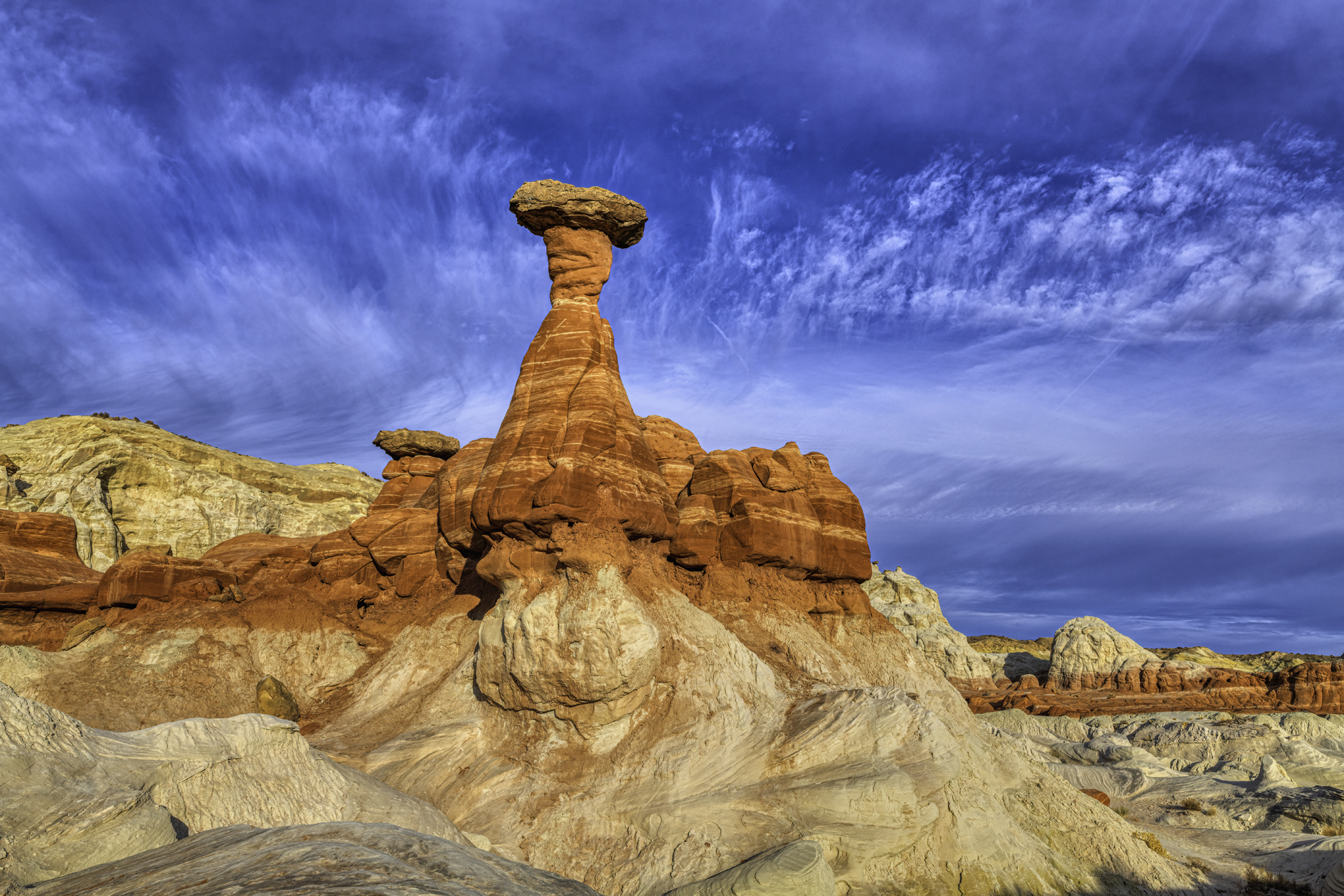 Evening at the Toadstools