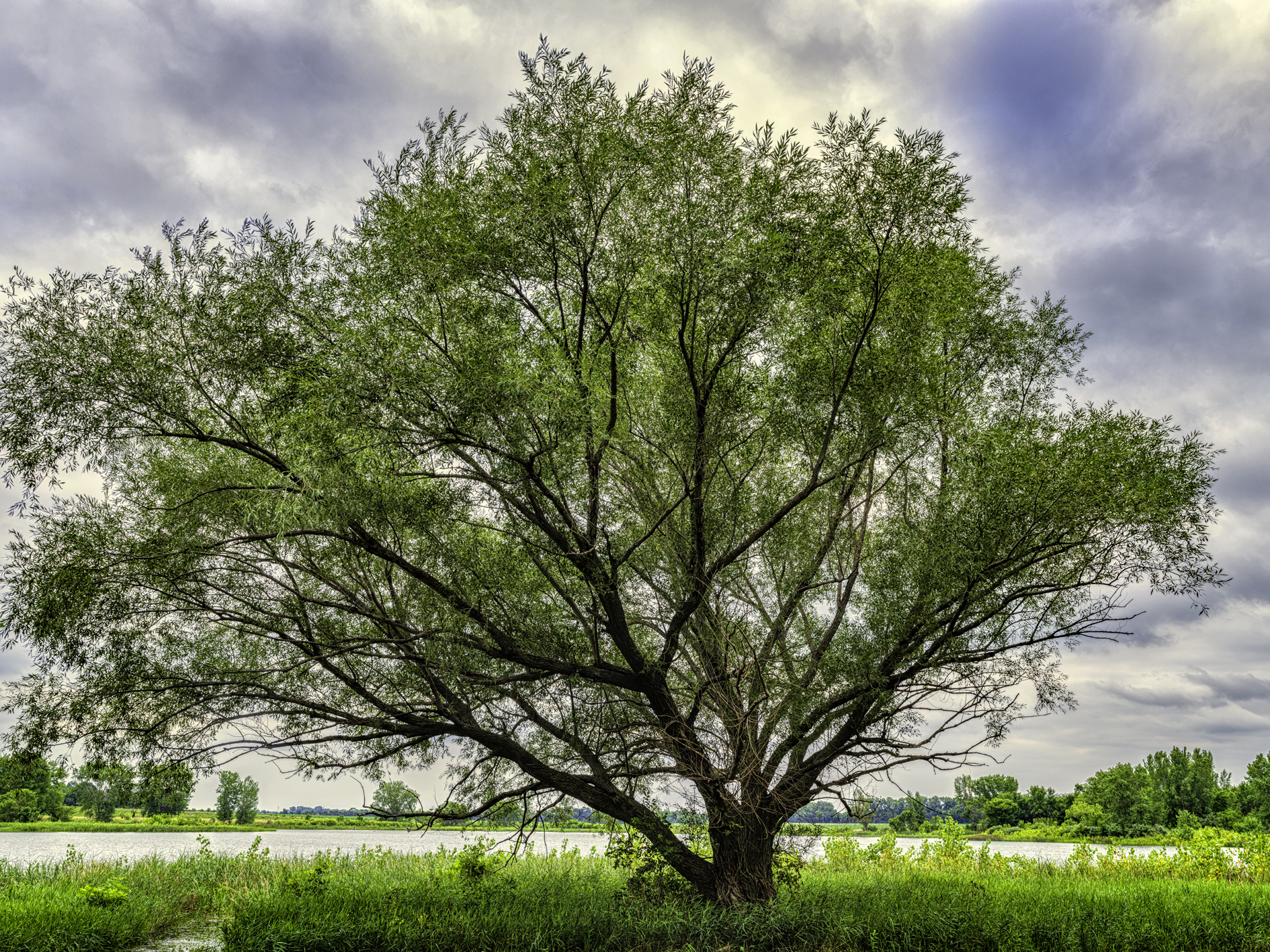 Evening at Willow Creek Lake II