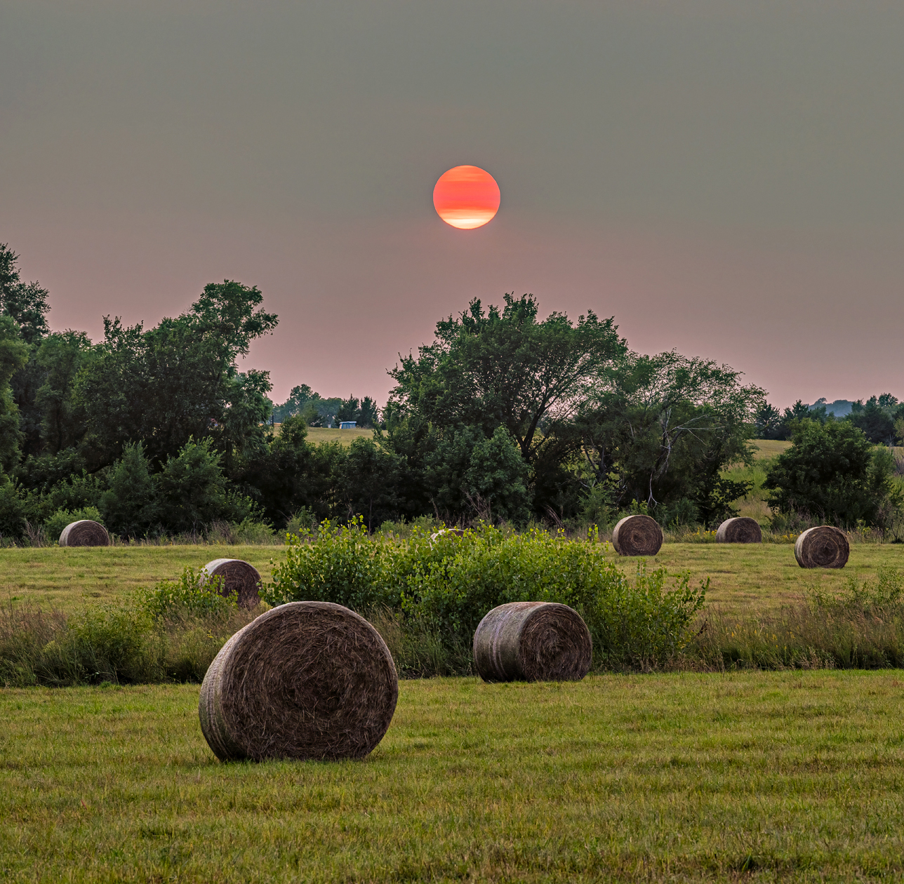 Evening Bales II