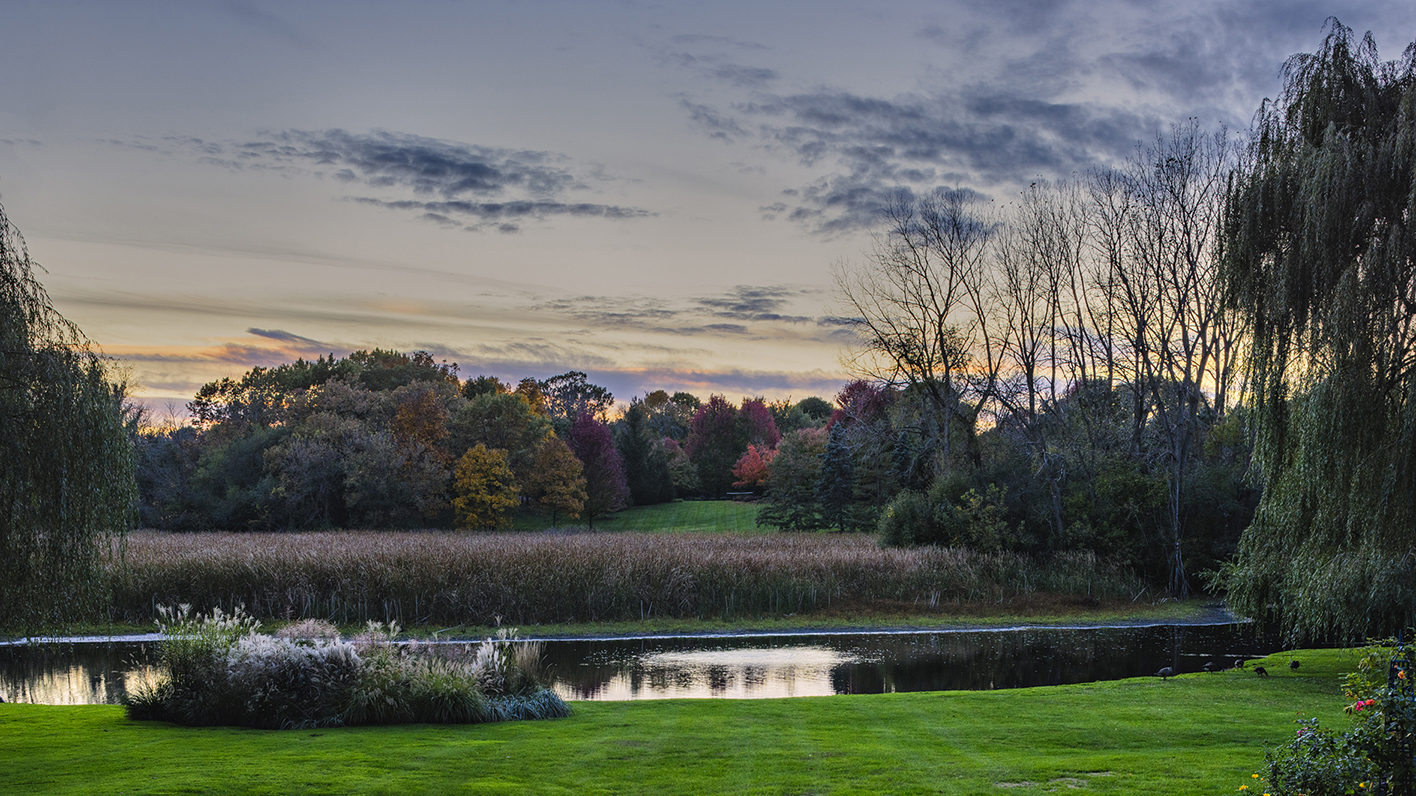 Evening Twilight At the Pond