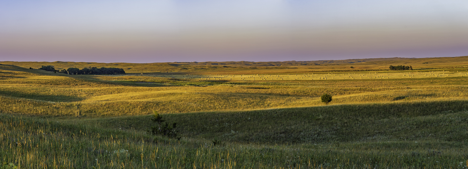 Evenings at the Ranch