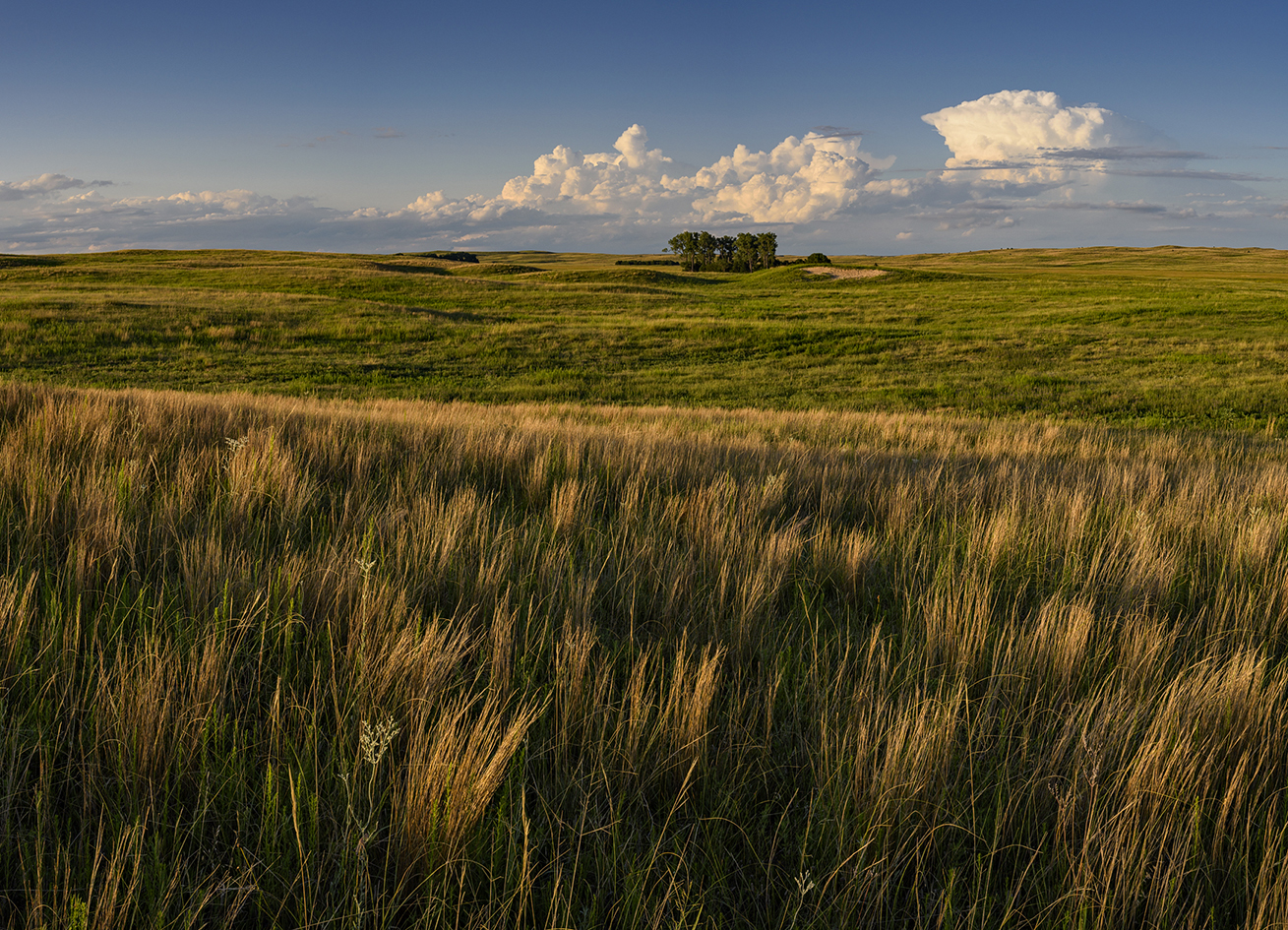 Evenings on the Prairie