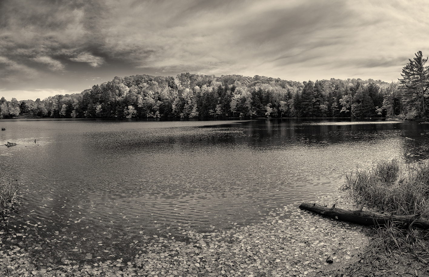 Fall in the Lake