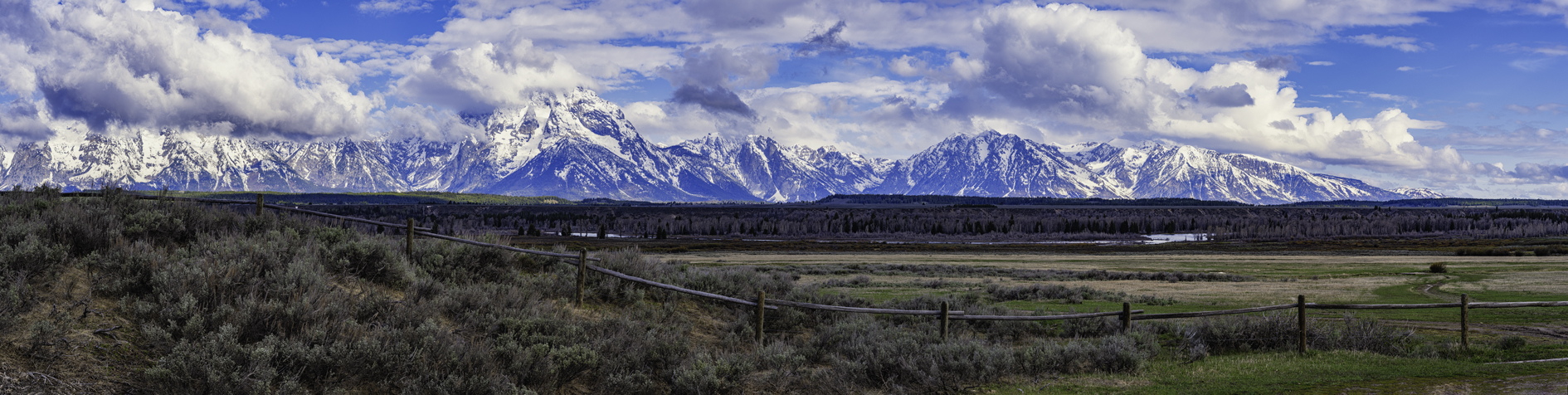 Fenceline Morning III