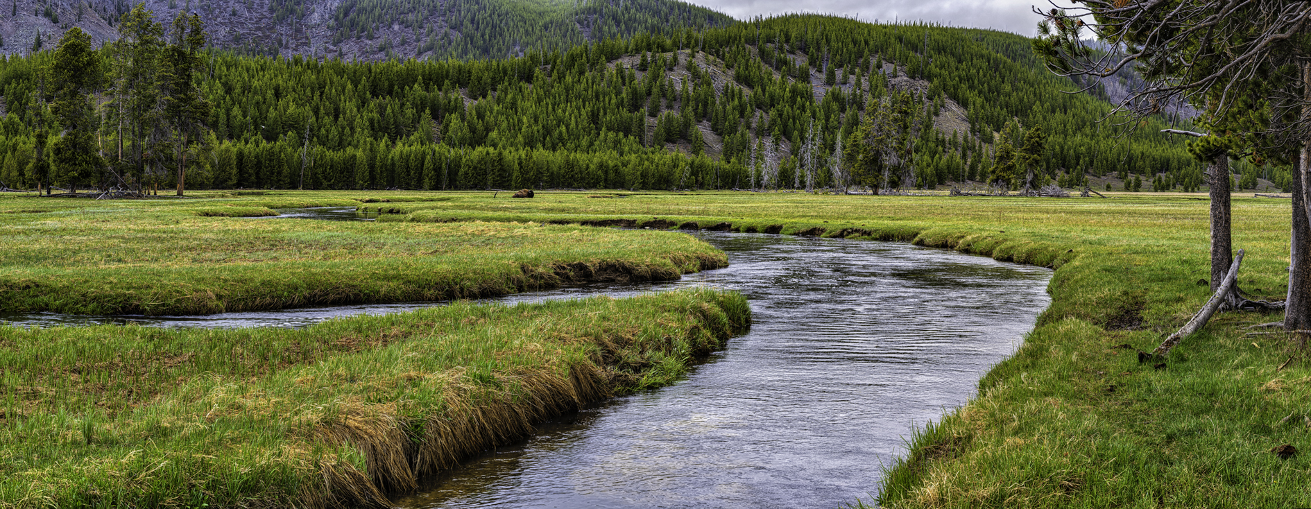 Firehole River Morning
