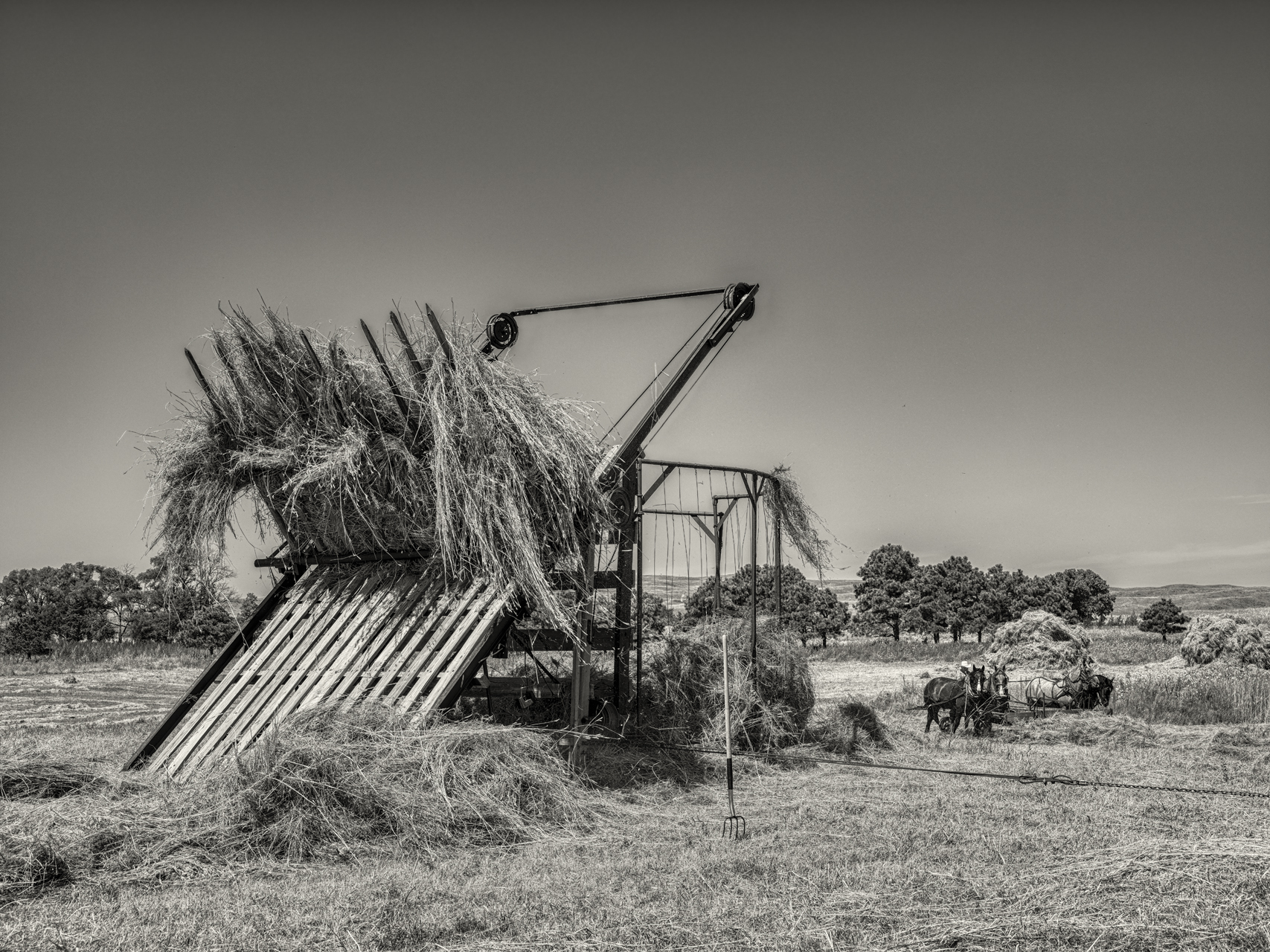 Harvesting the Pasture