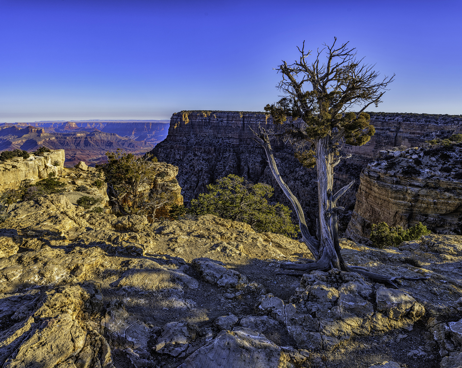 From Grandview Point