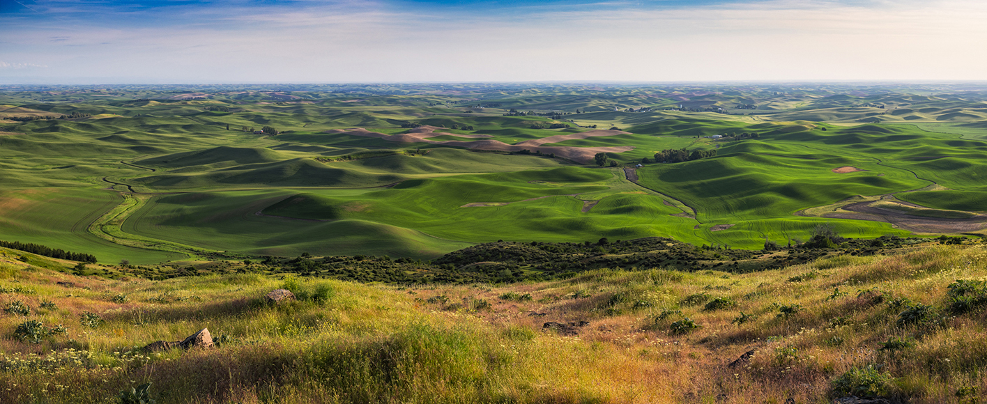 From Steptoe Butte VII