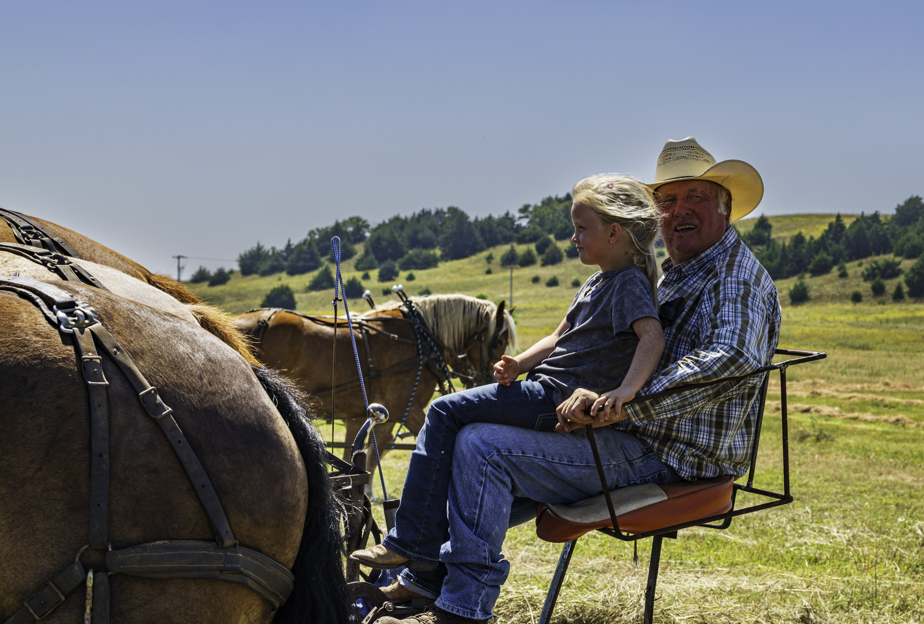 Haying with Grandpa III