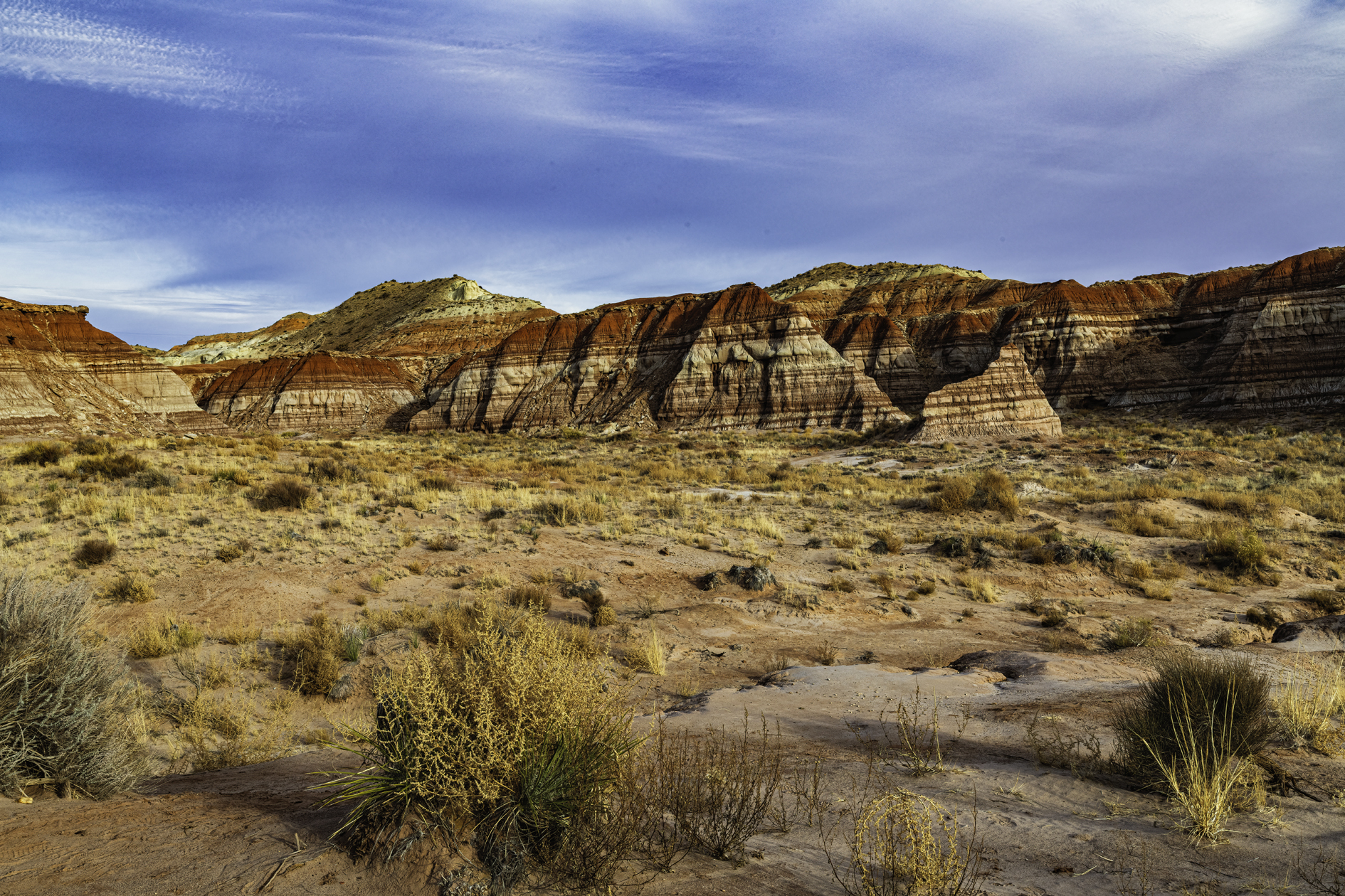 Kane County Evening VII