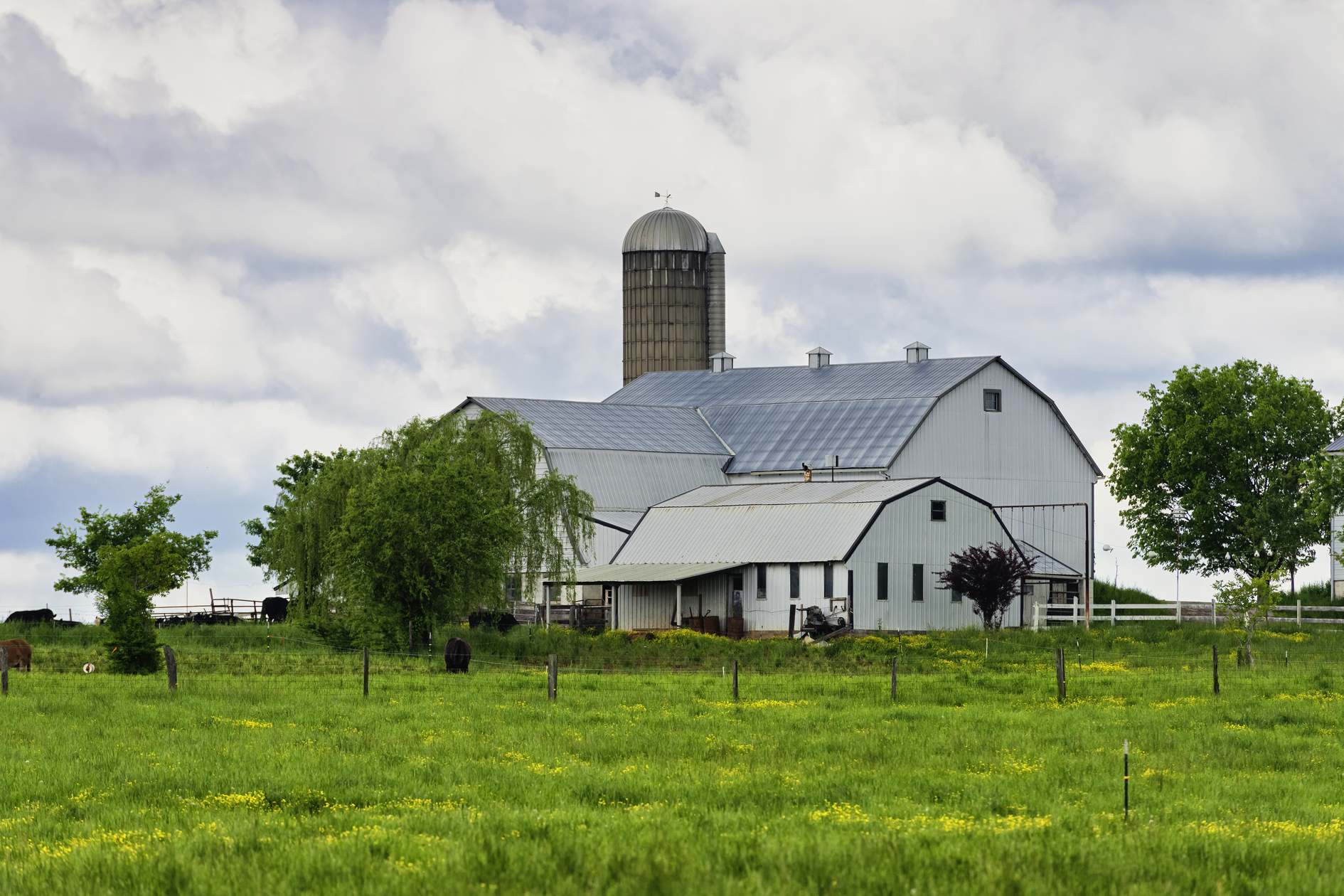 Kentucky Home II