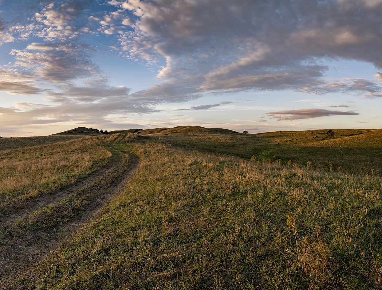 Knox County Evening II