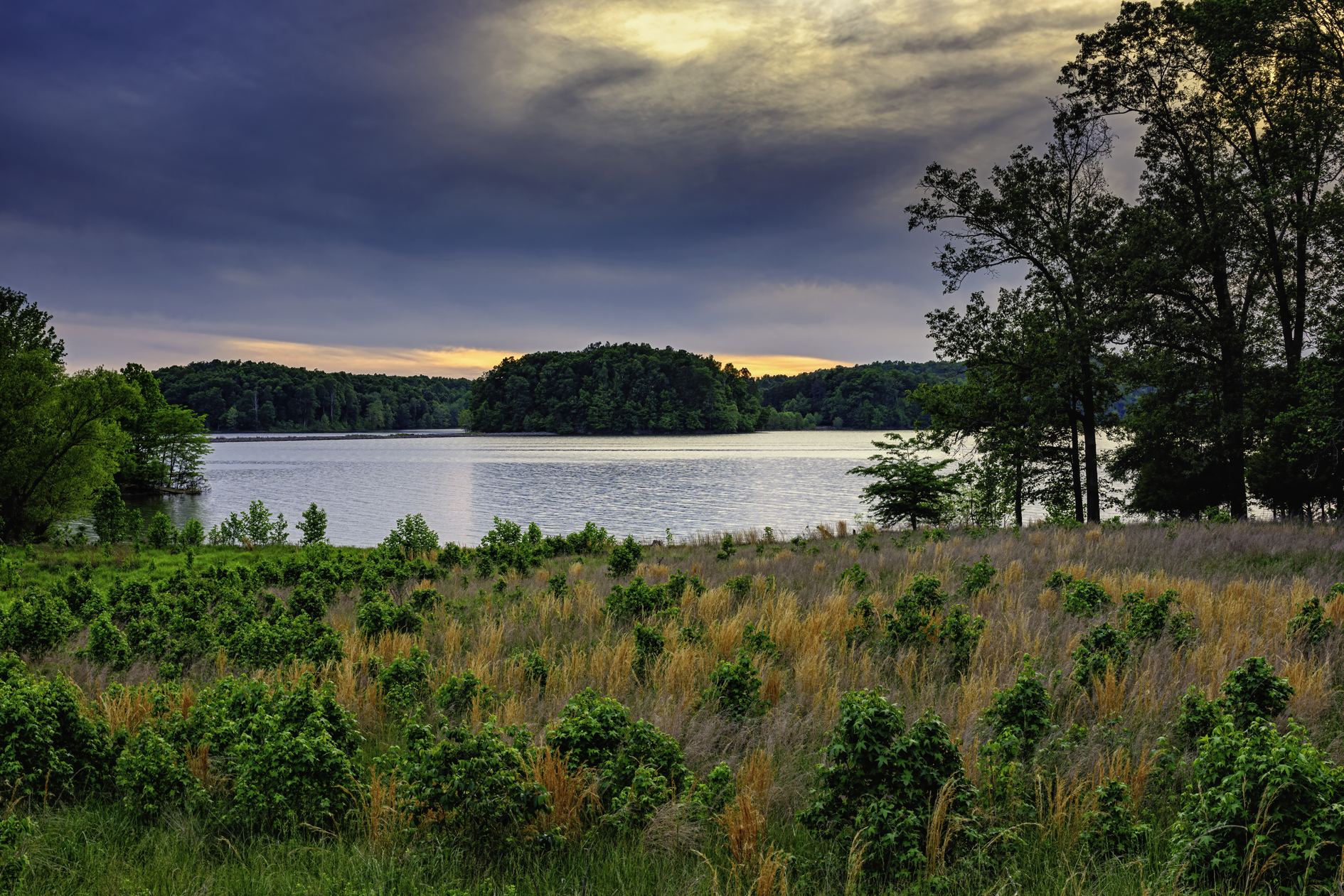 Land Between the Lakes Evening