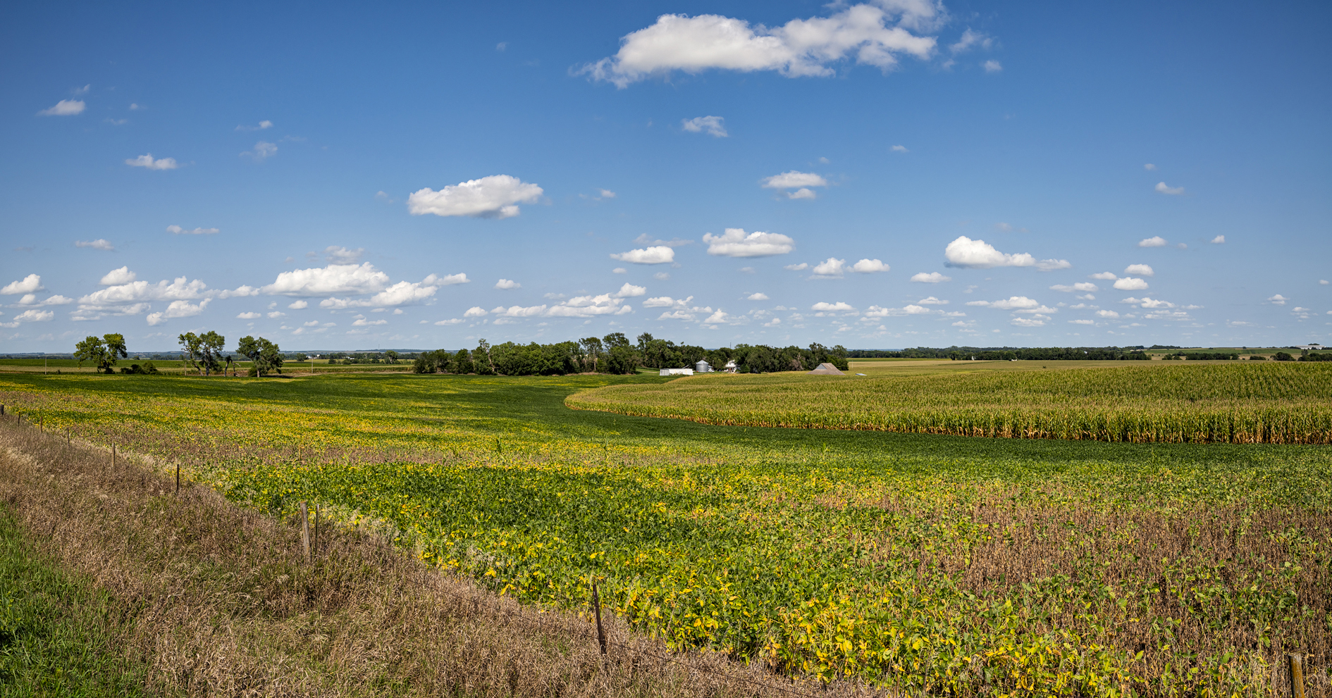 Late Summer Fields II